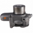 Picture of Water Pump w/ Pulley - New