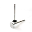 Picture of Exhaust Valve, Standard