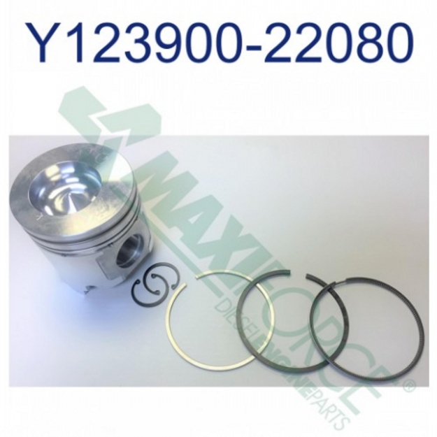 Picture of Piston & Ring Kit, Standard