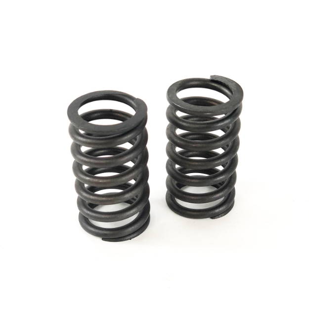 Picture of Intake & Exhaust Valve Spring