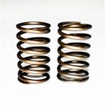 Picture of Outer Valve Spring