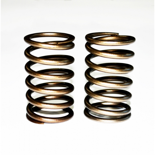 Picture of Outer Valve Spring