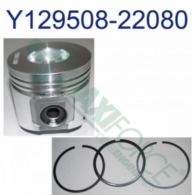 Picture of Piston & Ring Kit, Standard