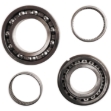 Picture of Speed Transmission Bearing Kit - w/ Rear Countershaft Roller Bearing