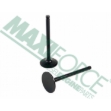 Picture of Intake Valve