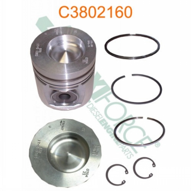 Picture of Piston & Ring Kit, Standard