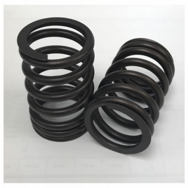 Picture of Valve Spring