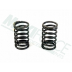 Picture of Inner Valve Spring