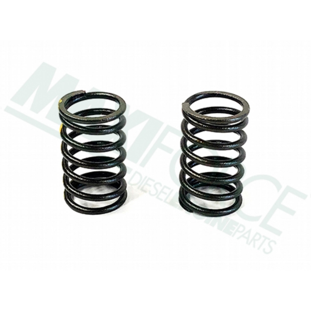 Picture of Inner Valve Spring