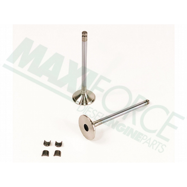 Picture of Exhaust Valve Kit