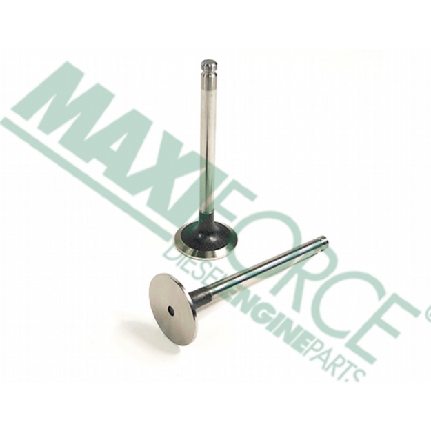 Picture of Exhaust Valve, 30 Degree