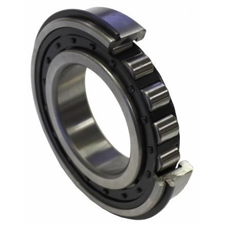 Picture of IPTO Roller Bearing