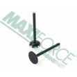 Picture of Exhaust Valve