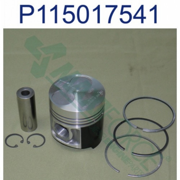 Picture of Piston & Ring Kit, Standard