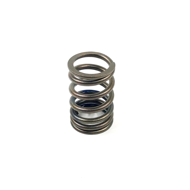 Picture of Valve Spring