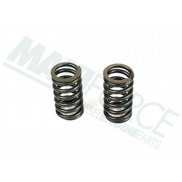 Picture of Valve Spring