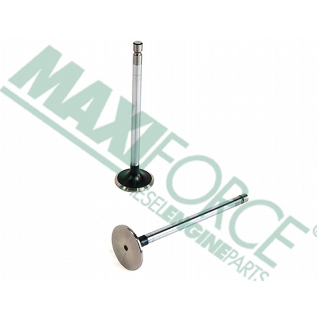 Picture of Intake Valve Kit