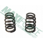 Picture of Valve Spring