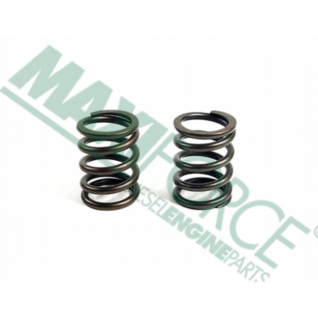 Picture of Valve Spring