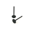 Picture of Intake Valve
