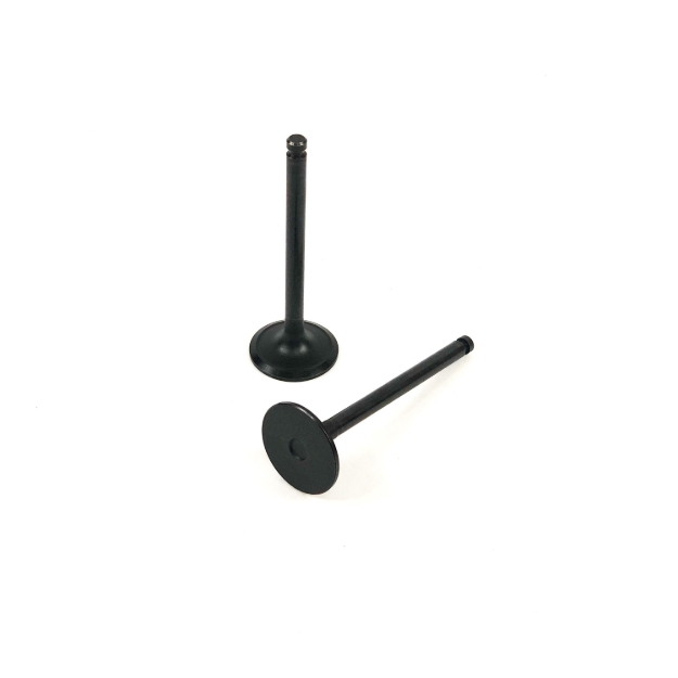 Picture of Intake Valve