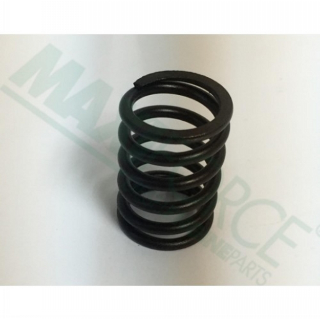 Picture of Valve Spring