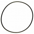 Picture of IPTO Bearing Cage O-Ring