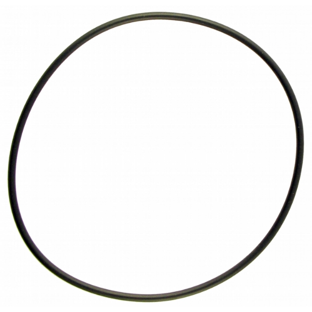 Picture of IPTO Bearing Cage O-Ring