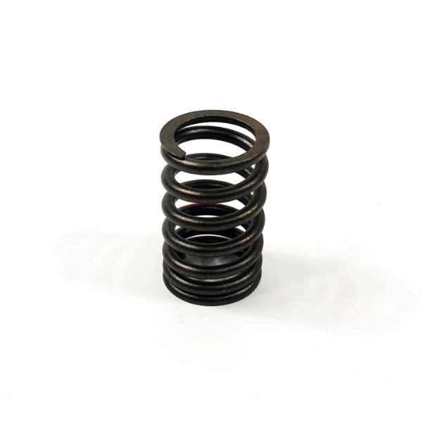 Picture of Valve Spring