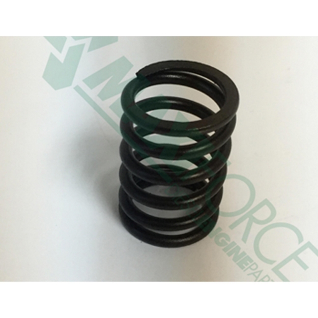 Picture of Valve Spring