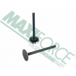 Picture of Exhaust Valve