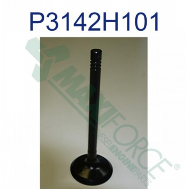 Picture of Intake Valve