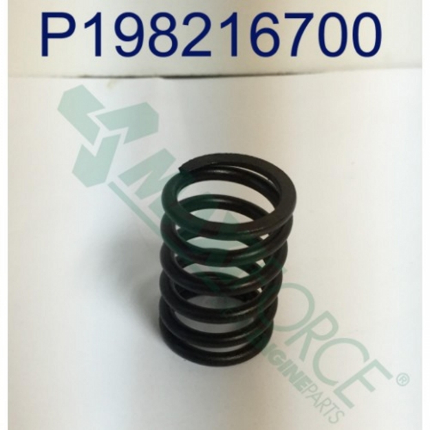 Picture of Valve Spring