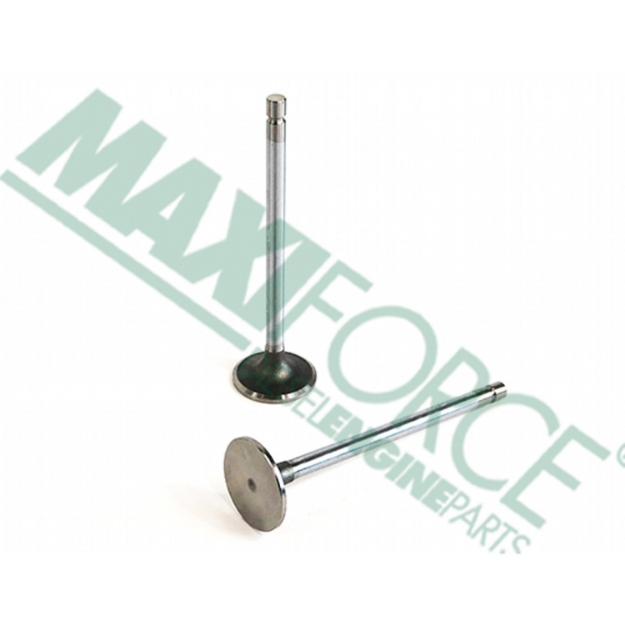 Picture of Intake Valve Kit