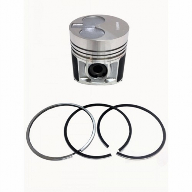 Picture of Piston & Ring Kit, Standard