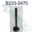 Picture of Exhaust Valve