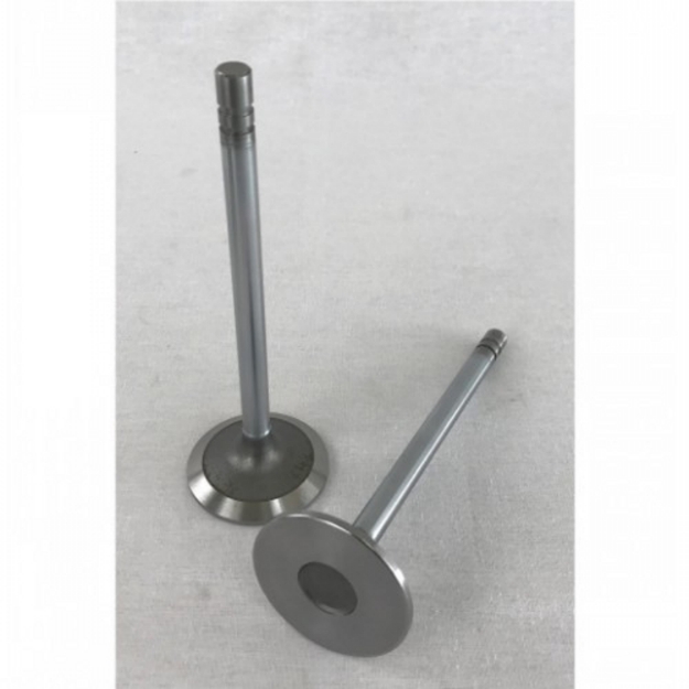 Picture of Exhaust Valve, Standard