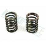 Picture of Outer Valve Spring