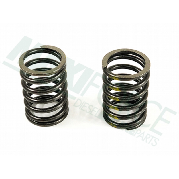 Picture of Outer Valve Spring