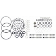 Picture of Selective Control Valve Kit