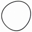 Picture of IPTO Bearing Cage O-Ring