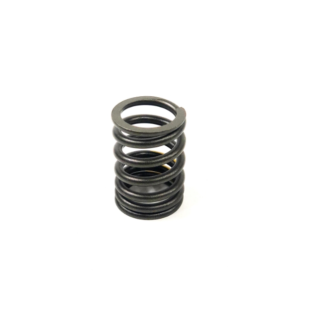 Picture of Valve Spring