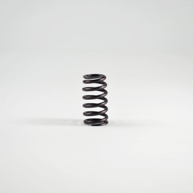 Picture of Valve Spring
