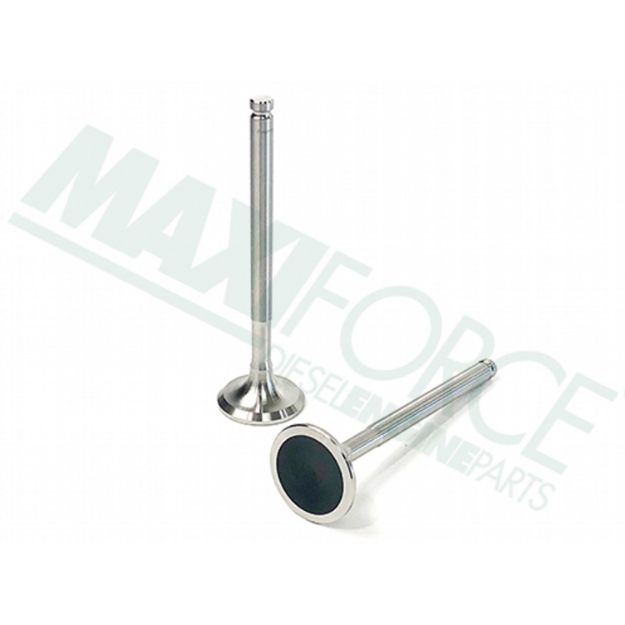 Picture of Exhaust Valve, 45 Degree