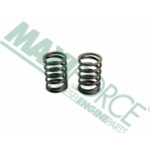 Picture of Inner Valve Spring