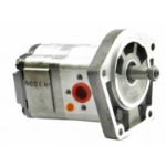 Picture of Dual Hydraulic Pump