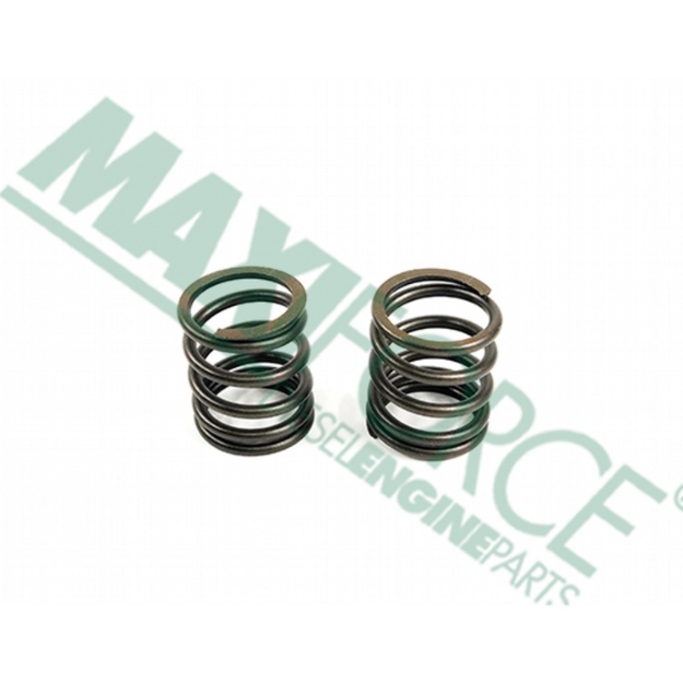 Picture of Outer Valve Spring