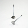 Picture of Intake Valve