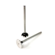 Picture of Exhaust Valve, Standard