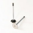 Picture of Exhaust Valve
